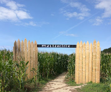 La Ferme de Malido - LABYRINTHE VÉGÉTAL